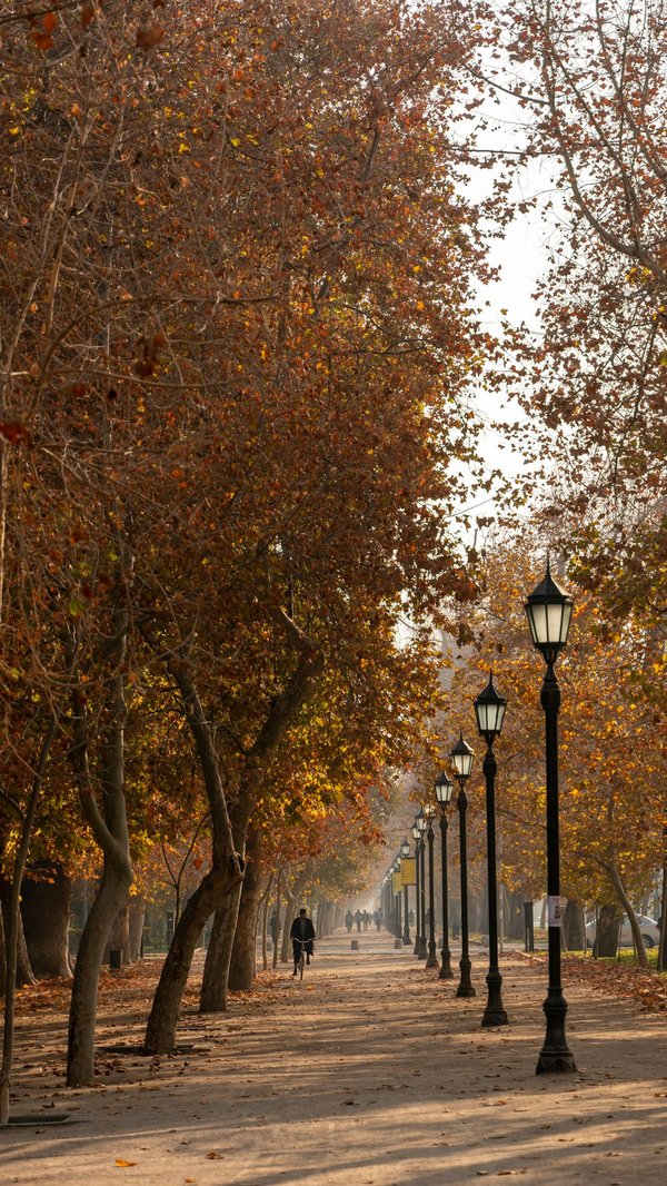 Peut-on trouver une maison de vacances en Bretagne avec des ateliers de broderie et des visites de phares?